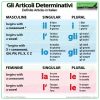 Definite Articles in Italian. Gli articoli determinativi in italiano.